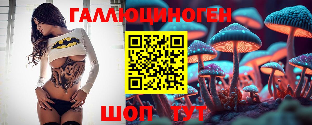 Галлюциногенные грибы Psilocybine cubensis Алапаевск